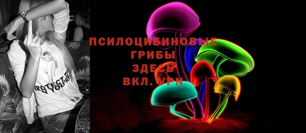 PSILOCYBIN Алексин
