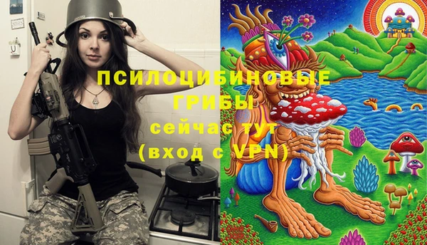 PSILOCYBIN Алексин